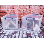 Ry Eurobox Clear With Lid