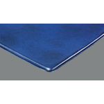 Rexel Nyrex Slim Disp Book 50 Pkt A4