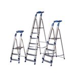 Aluminium Blue Seal 6 Tread Ladder