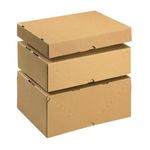 Carton/Lid 305X215X50Mm Brn Pk10