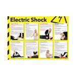 Signslab 420X590 Elec Shock Poster