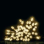 Vienna 200 Led Lights Battery 16.3M