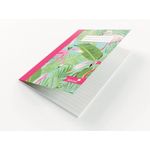 Silvine Cbnd Nbook A5 4 Designs Pk12