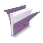 Rexel Susp File A4 30Mm Ast Pk10