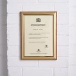 Seco Premium Cert Holder A4 Gold