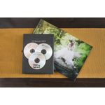 Verbatim Dvd-R 4.7Gb 16X Jc Pk5