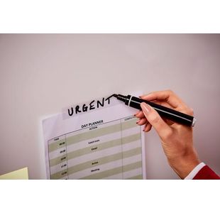 Scotch 810 Magic Tape 19Mmx33M