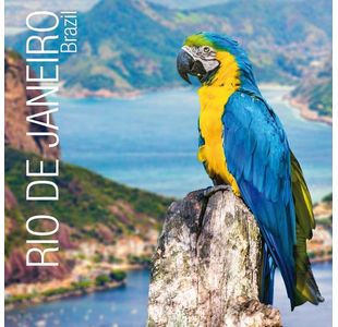 Post-It S/S Lined Xl Notes Rio P6