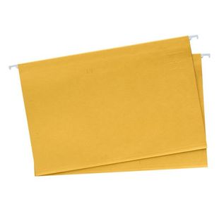 Concept Pkt.10 Foolscap Suspension Files