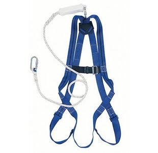Titan 1-Point Harness 2M Lanyard