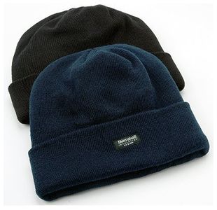 Thinsulate Navy Beanie Hat