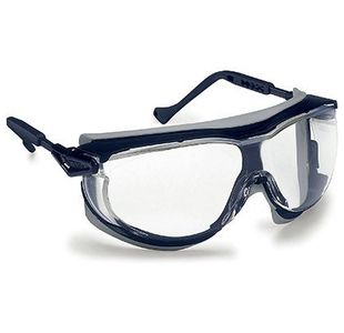 Skyguard Nt Blue/Grey Clear Glasses