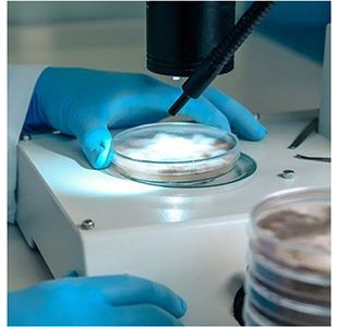 Tx424 Blue Nitrile Gloves Xl Pk100