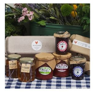 Business Starter Guide/Kit Food