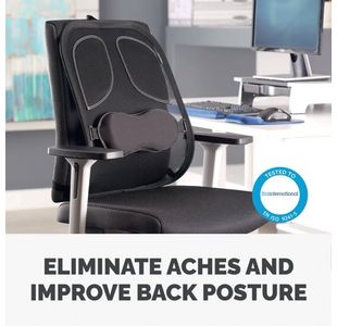 Fellowes Prof Mesh Back Support