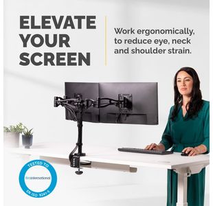 Fellowes Vista Dual Mon Arm