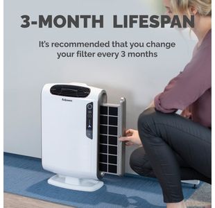 Fellowes Dx55 Carbon Filter Pk4