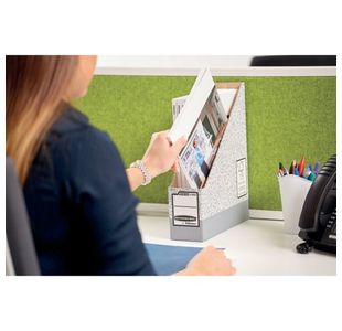 Fellowes Mag File Grey/White Pk10