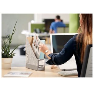 Fellowes Mag File Grey/White Pk10