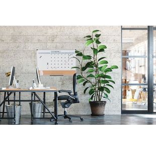 3-In-1 Monthly Planner Board 60X90Cm