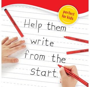 Berol Handwriting Pen Black Pk200