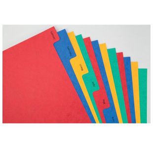 Elba Jan-Dec Divider Pressboard A4