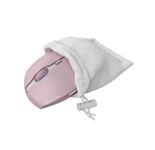 Cherry Gentix Bt Mse Cherry Blossom