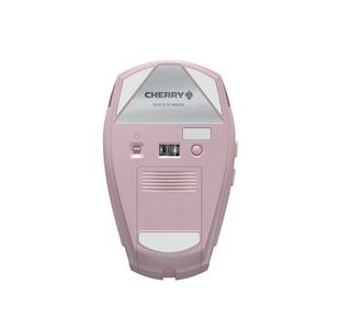 Cherry Gentix Bt Mse Cherry Blossom