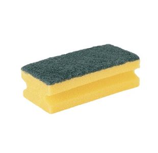 Robert Scott 13X7X4Cm Scourer Pk500