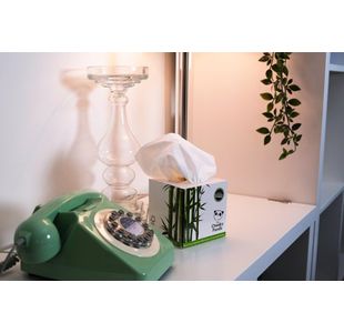 Cheeky Panda Facial Tiss 56 Sht P12