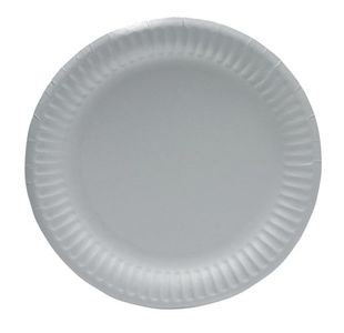 White 9 Inch Paper Plate Pk100