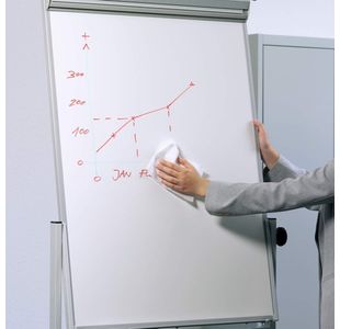 Durable Wbrd Fluid Clnr/Ren 250Ml