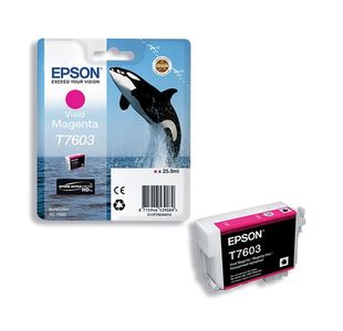 Epson T7603 Ink Ult Chr Hd Vivid Mag