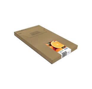 Epson 33Xl Ink Prem Cmyk/Photo Blk