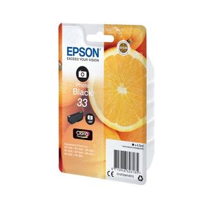 Epson 33 Ink Cartridge Photo Black