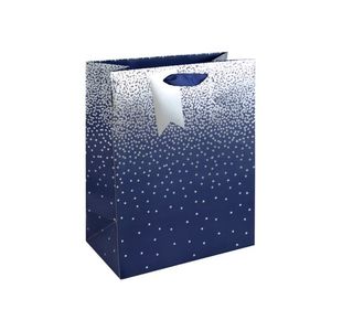 Eurowrap Navy Ombre Gift Bag Lg Pk6