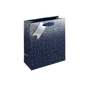 Eurowrap Navy Ombre Gift Bag Med Pk6