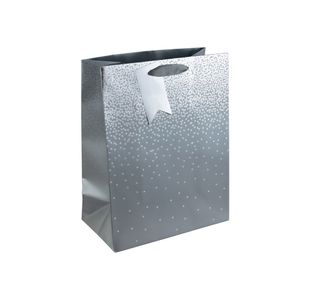 Eurowrap Silver Ombre Gift Bg Lg Pk6