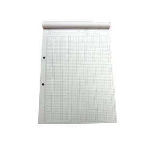 Analysis Pad 8 Cash Column 80 Sh A4