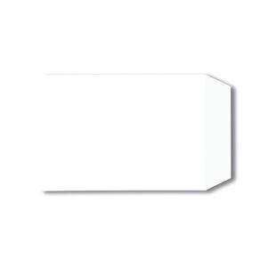 Env Pkt P/S C5 Wht Pk500