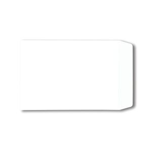 Env Pkt Plsl 100Gsm C4 White Pk250