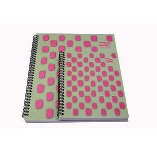 Euorpa Notebook 160P A4+ Pink Pk3