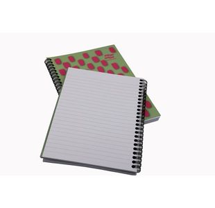 Europa Notebook 160P A5 Pink Pk3