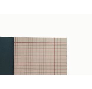 Guildhall Register And Mark Book