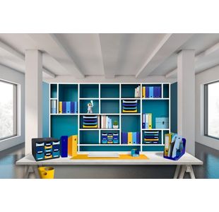 Exacompta Bee Blue Magazine Files P4