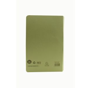 Guildhall Tfr Hw Sprl File Grn Pk25