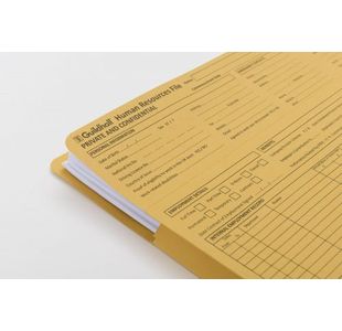 Guildhall Pre Print Hr File Ylw Pk50