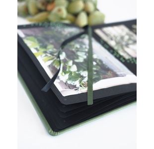Rhodiarama Creation Goalbook Sage