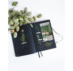 Rhodiarama Creation Goalbook Celadon
