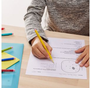 Papermate Non-Stop Mechl Pencil Pk12